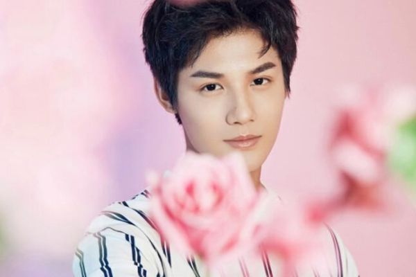 电视剧《北辙南辕》金晨蓝盈莹再搭档?青年演员郑业成实力出演?