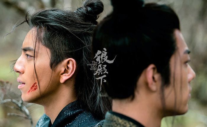 肖战新剧狼殿下讲了什么事情 狼殿下定档了吗