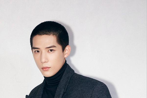 《陪你逐风飞翔》男主庄阅扮演者是谁?王安宇演艺经历主要作品?