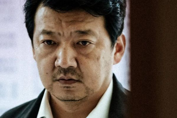 《回来的女儿》主创团队实力强劲?李家夫妻梅婷王砚辉个人资料?