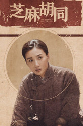 芝麻胡同宝凤