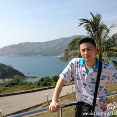 莲花闹海棠童兴明