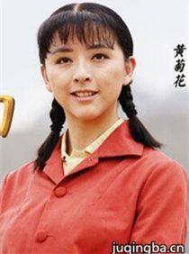灵与肉黄菊花