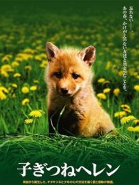 子狐物语