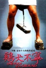 鸡犬不宁