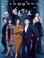 鸡毛飞上天卫视版