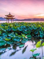 最忆是杭州