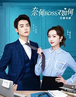 奈何BOSS又如何
