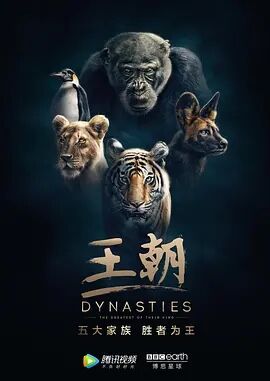 王朝普通话版