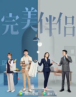 完美伴侣