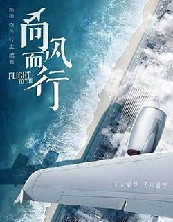 向风而行